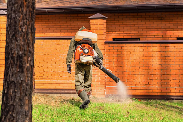 Trusted Cockroach Control service in Fairview Park, IN - Nex Pest Control